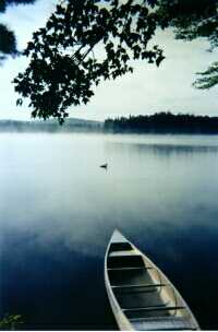 watch loons steam by your canoe camp.