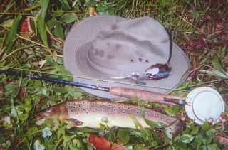 Fly Fishing the West Canada Creek brought a nice Brown Trout on an attractor